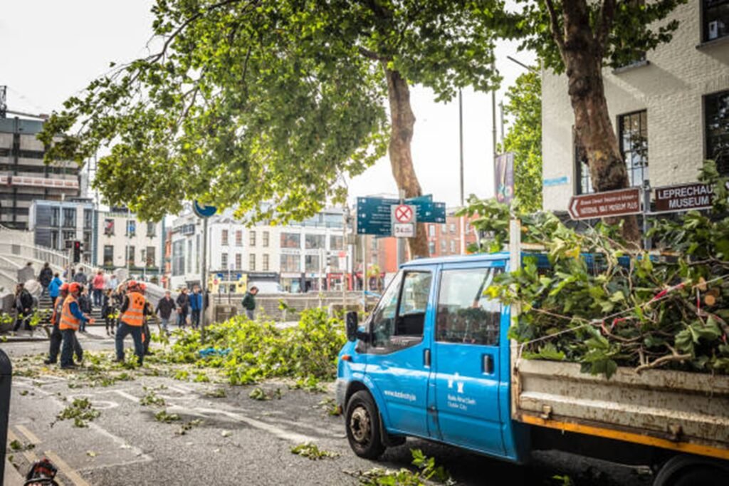 Emergency tree removal completed and driveway cleared in Willowick, Ohio