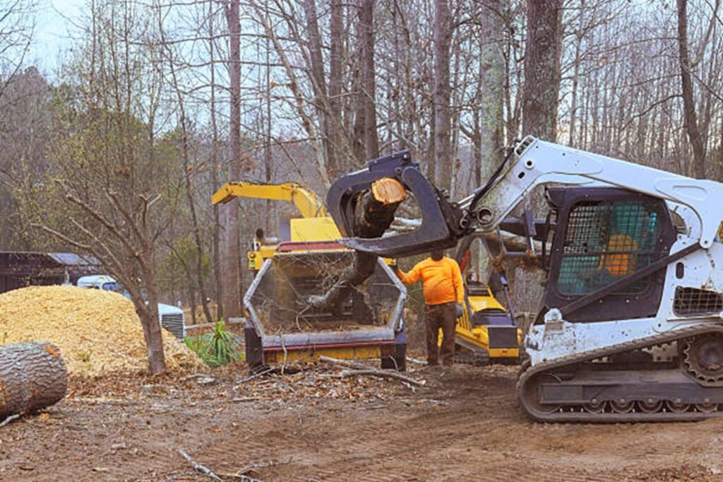 Hazardous tree safely removed from residential property in Willowick, Ohio