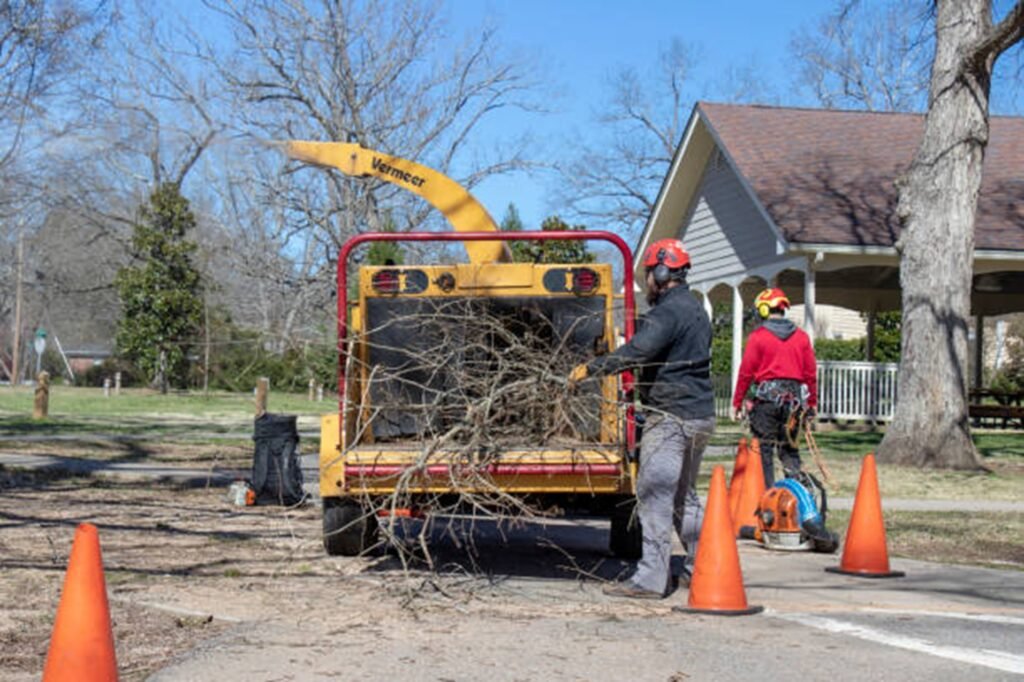 Residential property showcasing a well-maintained yard after professional tree service