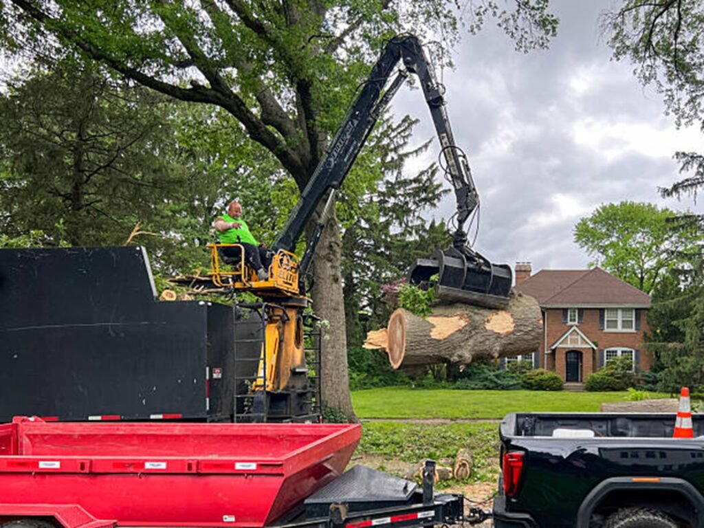 Tree removal crew using controlled sectional cutting techniques near a residential home in Willowick, Ohio