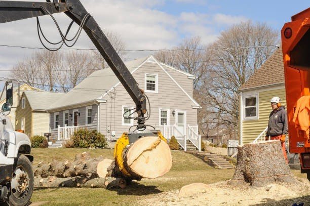 Emergency tree removal crew cutting a storm-damaged tree near a residential home in Willowick, Ohio