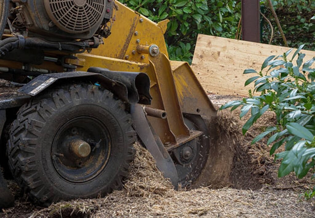 Stump grinding equipment removing a large tree stump from a residential yard in Willowick, Ohio